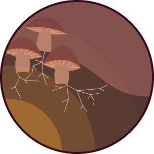 Mushrooms and mycelia grow over a brown and yellow background